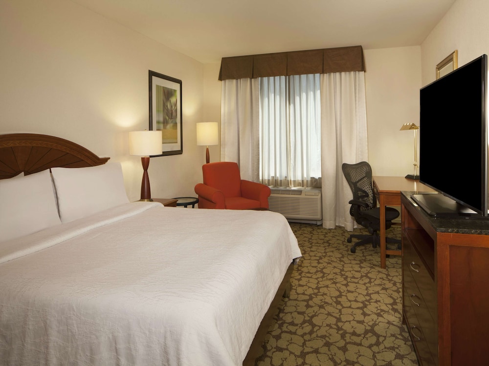 Hilton Garden Inn Virginia Beach Town Center - photo 11