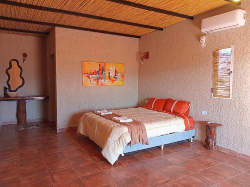 Cactus del Talampaya 2 in Villa Union, Argentina