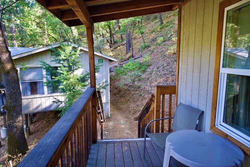 Yosemite Bug Rustic Mountain Resort - photo 55