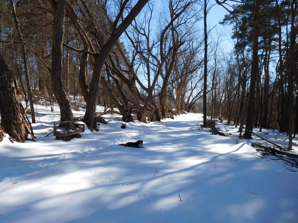 Mt. Philo Inn - photo 104