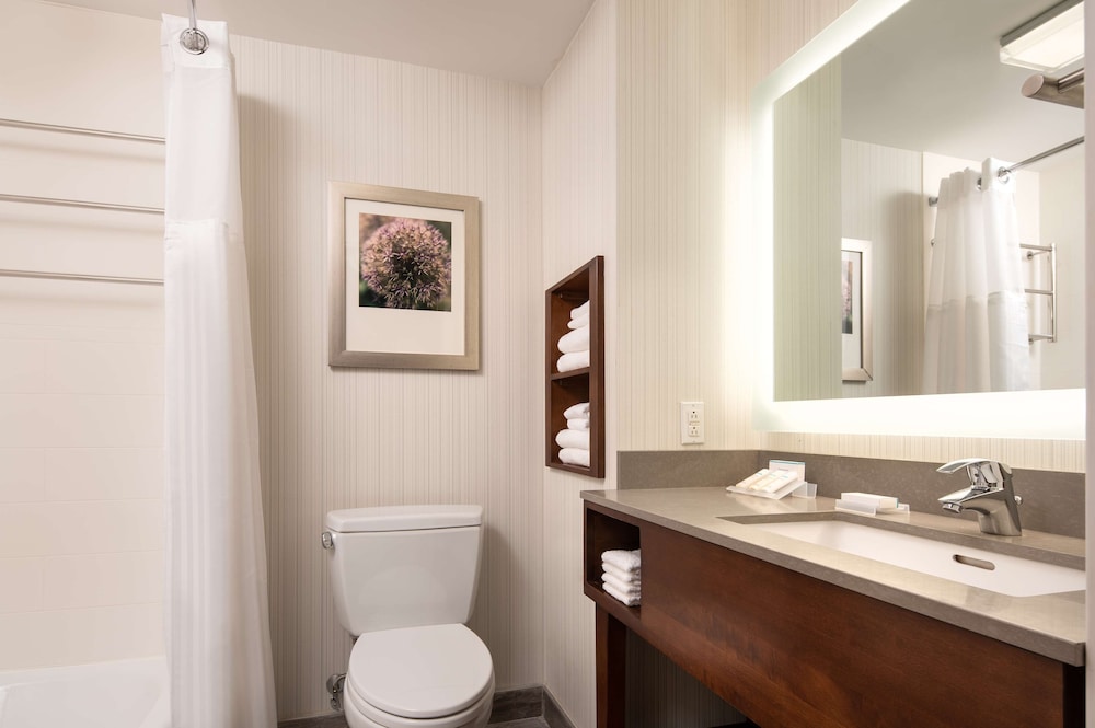 Hilton Garden Inn Long Island City New York - photo 24