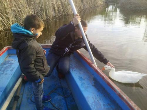 Caseta Morritos in Deltebre, Spain