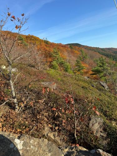 Hideaway Inn Maine - photo 37