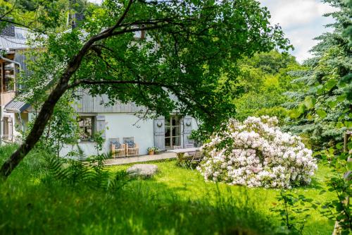 Lavendowo w Karkonoszach in Piechowice, Poland