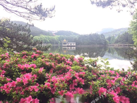 Comfortable - carbon neutral hotel in Luyang