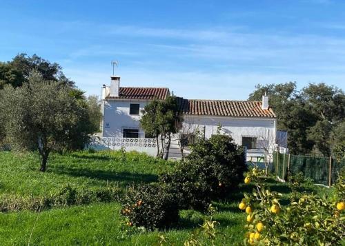 Vivienda Rural Los Ojalvos — Cortegana