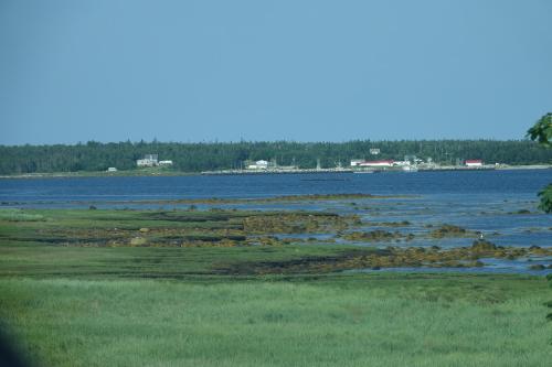 Seaside Serenity Cottage — Shelburne — photo 5