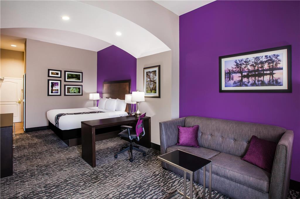 La Quinta Inn & Suites by Wyndham Baton Rouge Denham Springs - photo 13