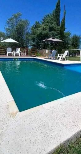 Paz y más paz pet-friendly hotel Mariano Moreno