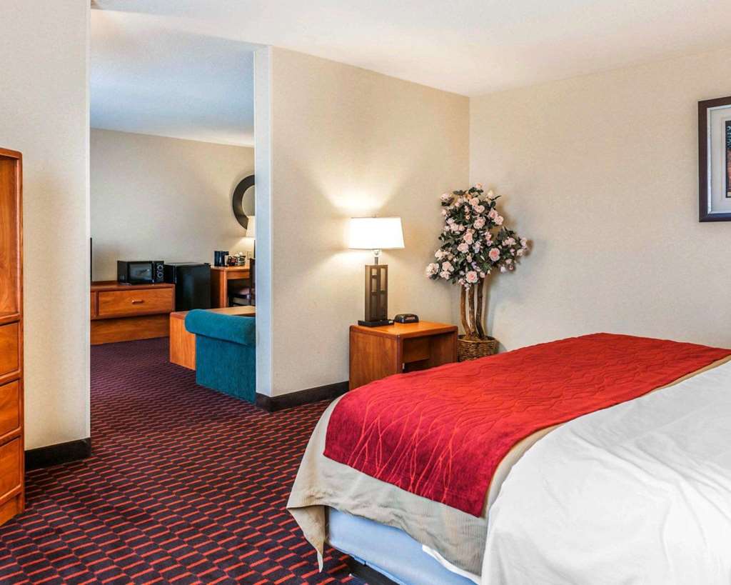 Comfort Inn Avon Indianapolis West - photo 19