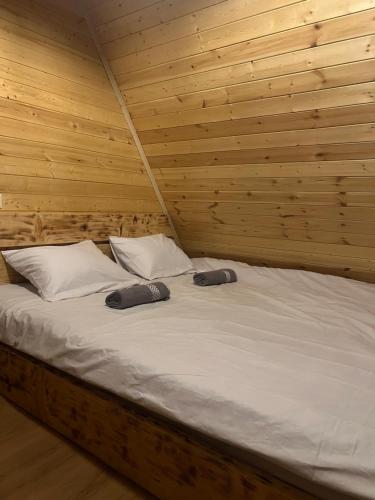 Cozy Home Kazbegi
