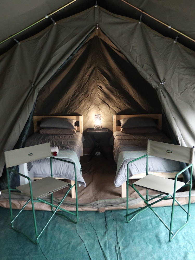 Kruger Park Tours - last minute hotel in Nelspruit