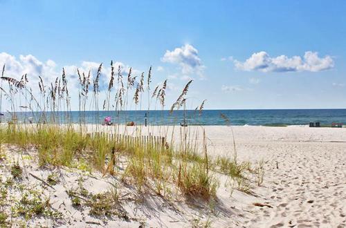 Ocean Reef 304 - photo 50
