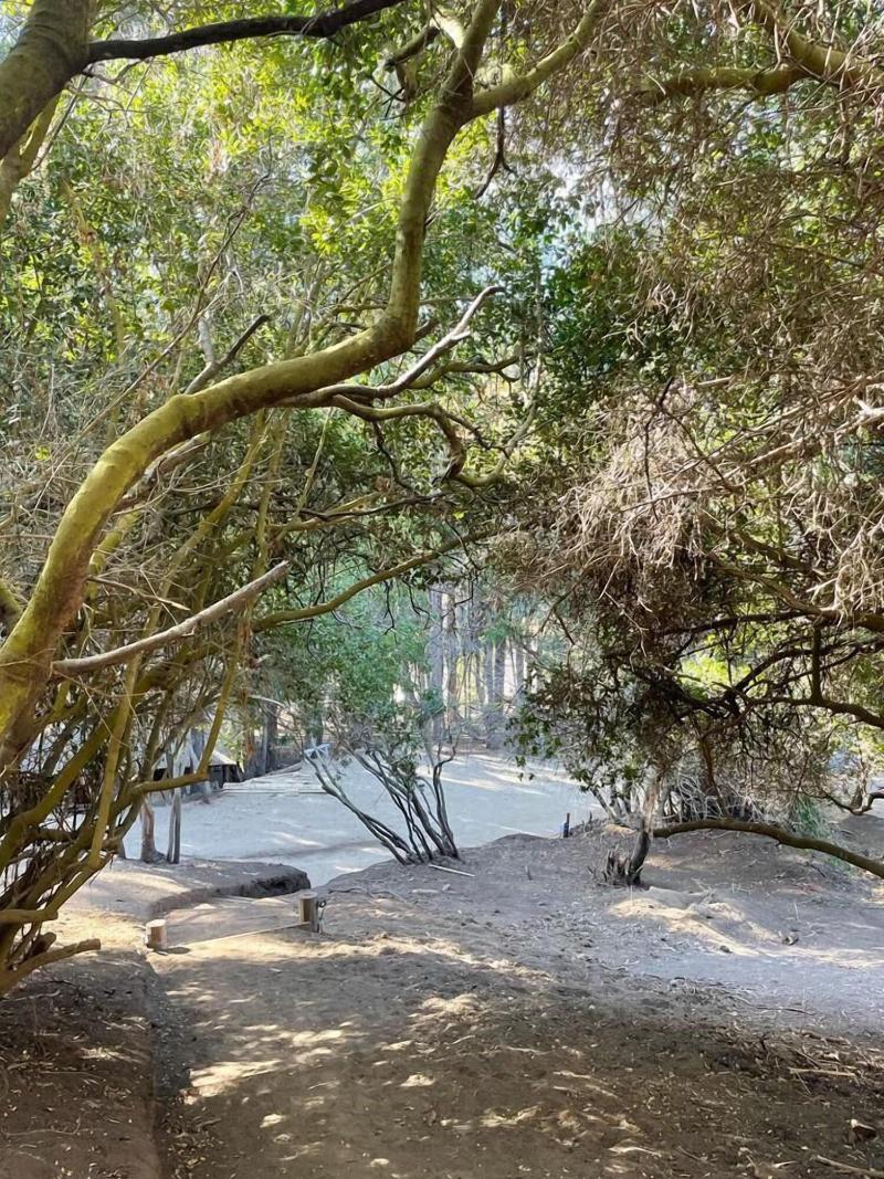 Parque Laguna Zapallar in Valparaiso, Chile