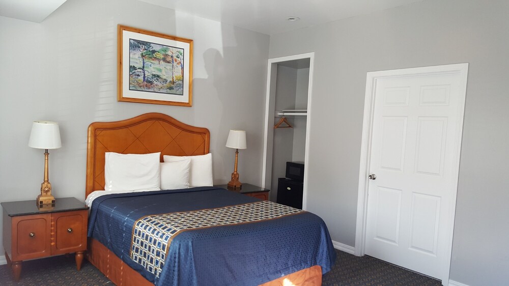 Lake Ridge Hotel - photo 23