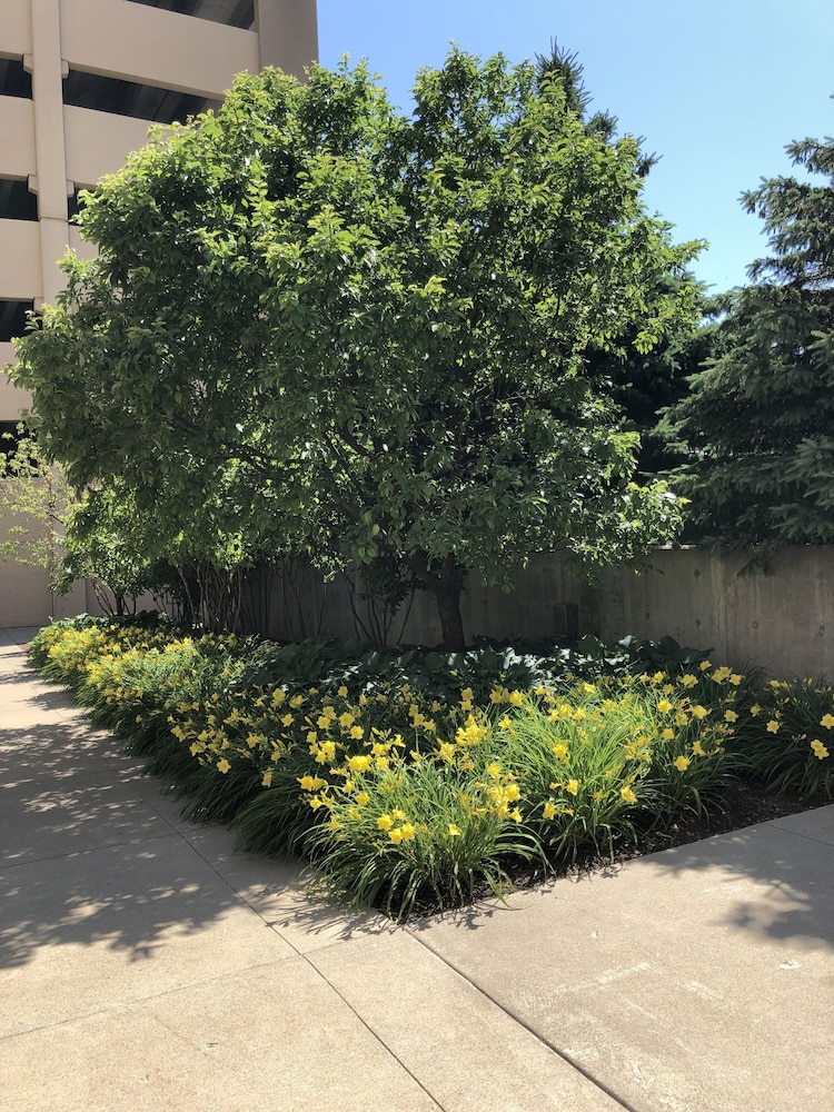 Hilton Milwaukee - photo 89