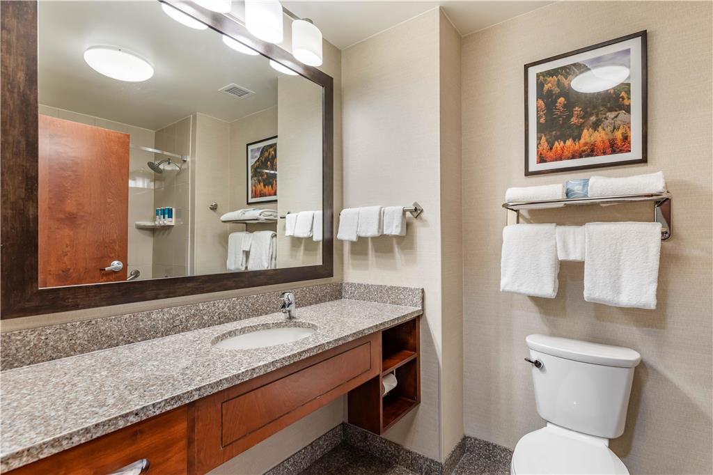 Drury Plaza Hotel Denver Central Park - photo 31