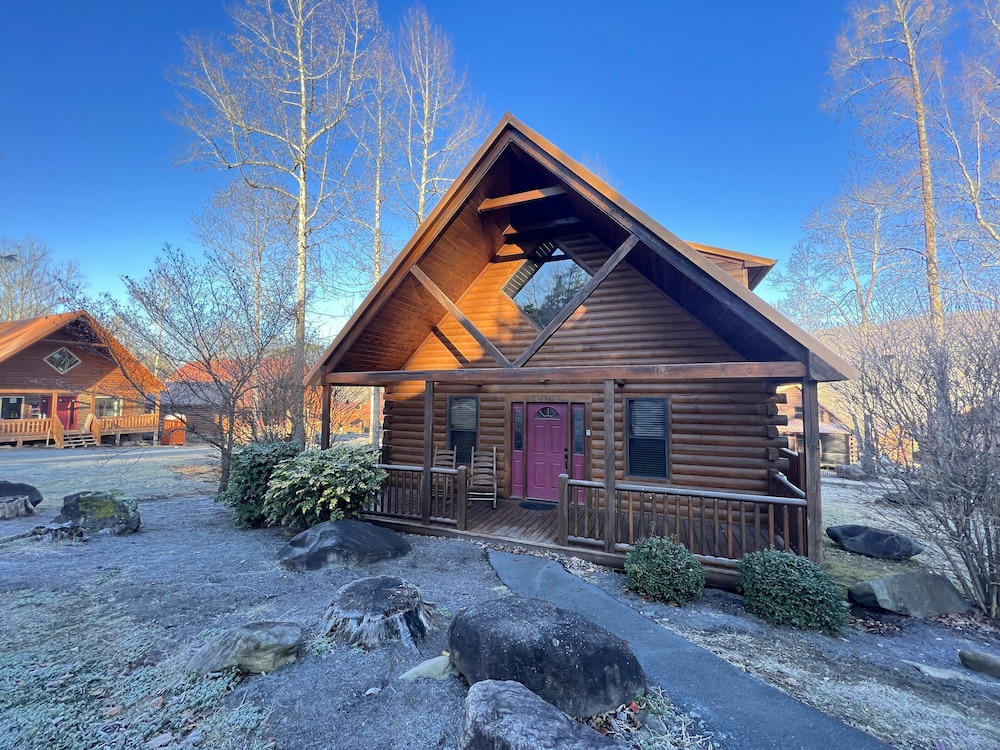 Bearly Behaving in Gatlinburg, United States