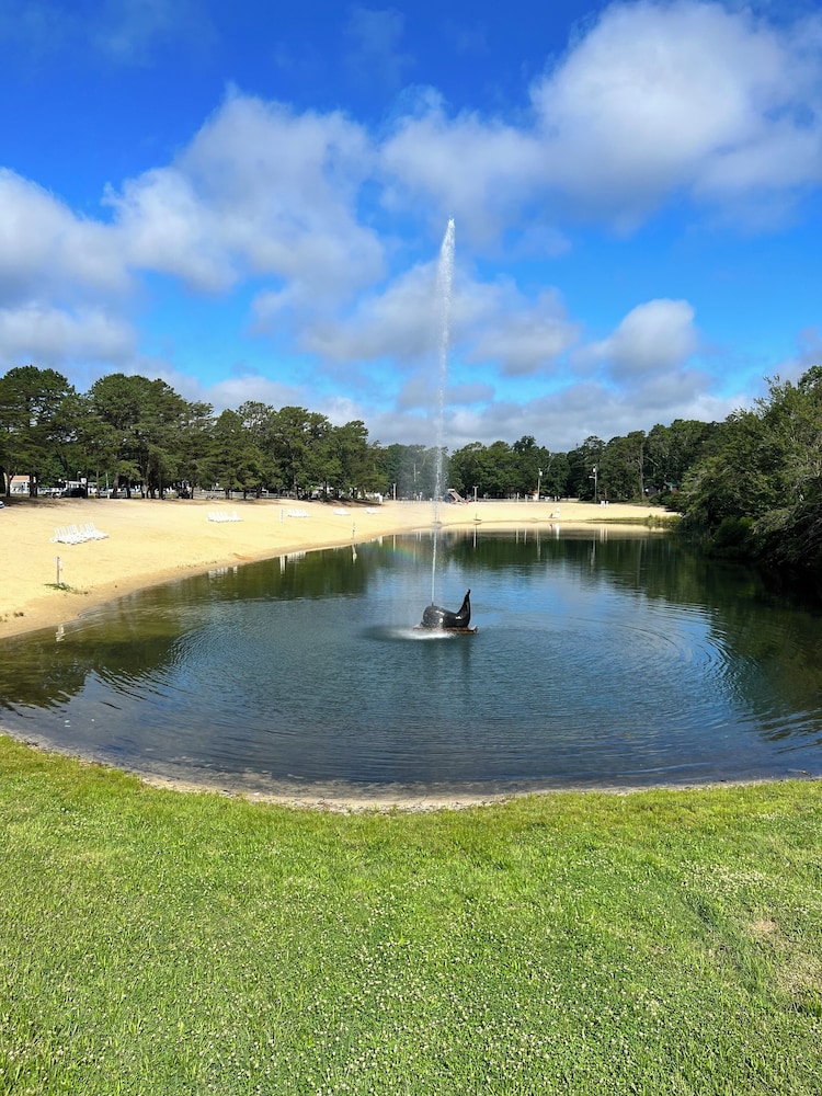 Pine Haven - photo 26