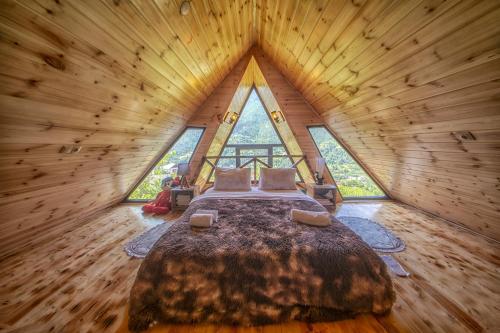 Forest House