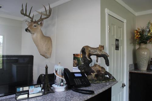 Copa Motel - photo 13