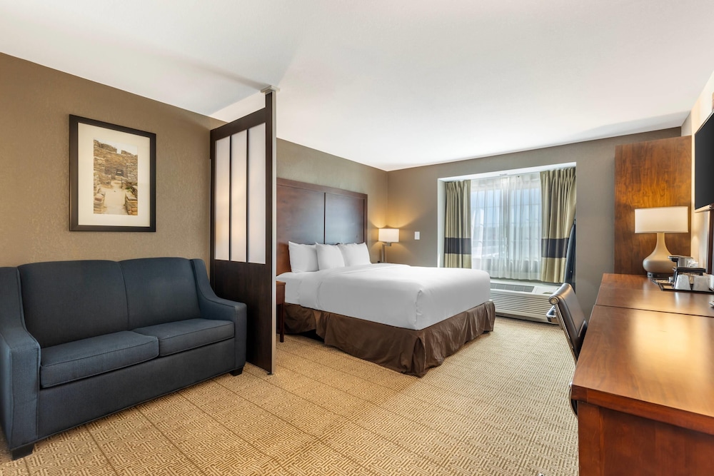 Comfort Inn & Suites Aztec Farmington Area - photo 40