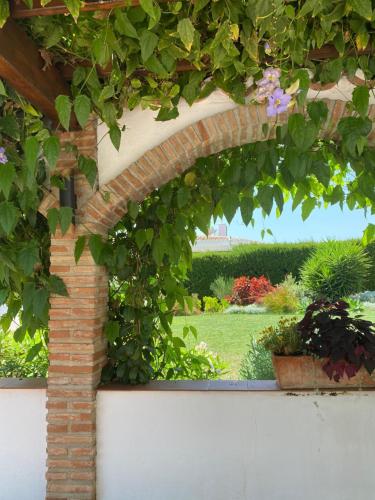 Villa with a big garden and heated pool — 4-Star Luxury Hotel in Malaga, Spain
