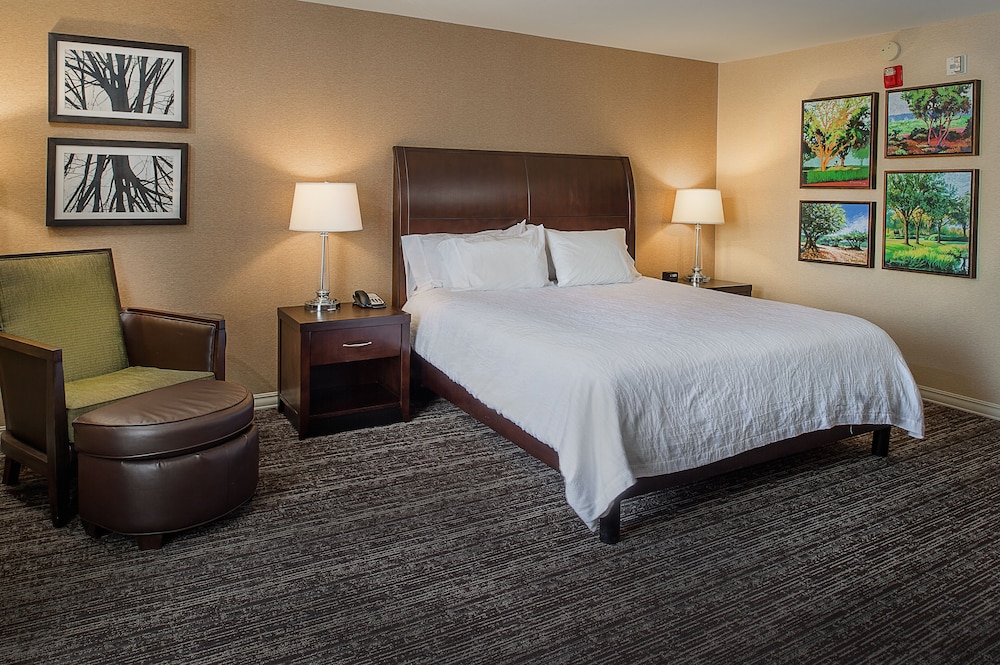 Hilton Garden Inn St. Louis Airport - photo 23