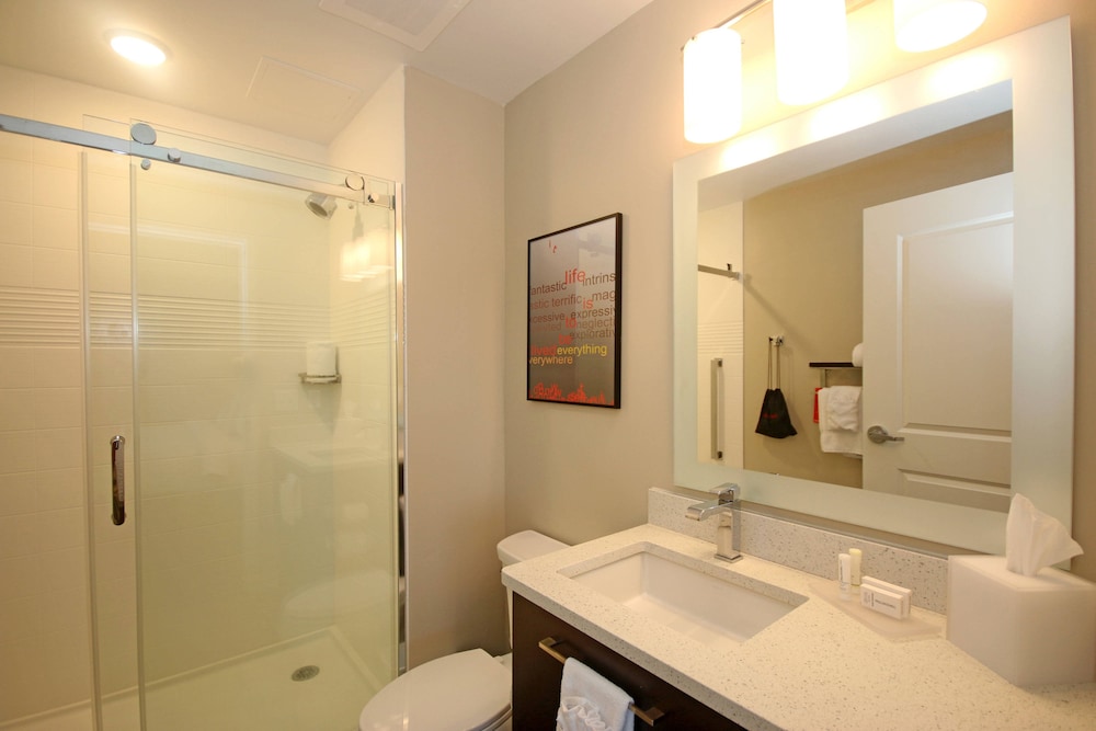 TownePlace Suites by Marriott Charleston North Charleston - photo 8