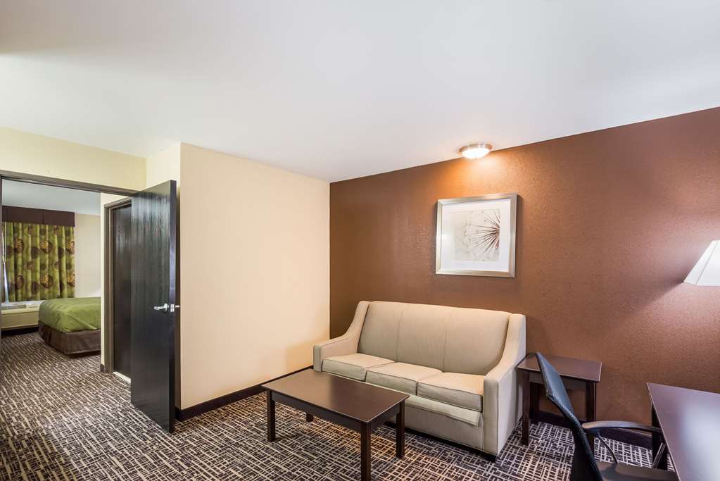 Quality Inn & Suites Caseyville St. Louis - photo 26