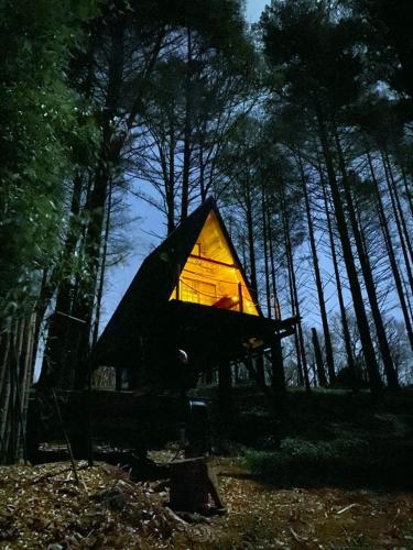 Les Cabanes de Roquehort - last minute hotel in Unknown City