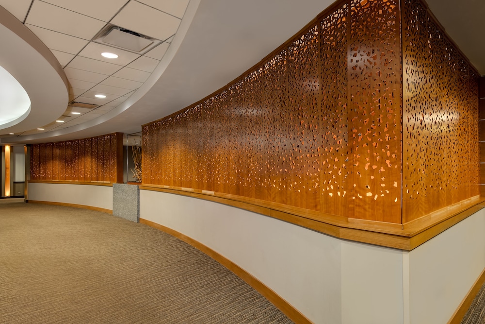 Crowne Plaza Chicago Ohare Hotel & Conf Ctr by IHG - photo 33