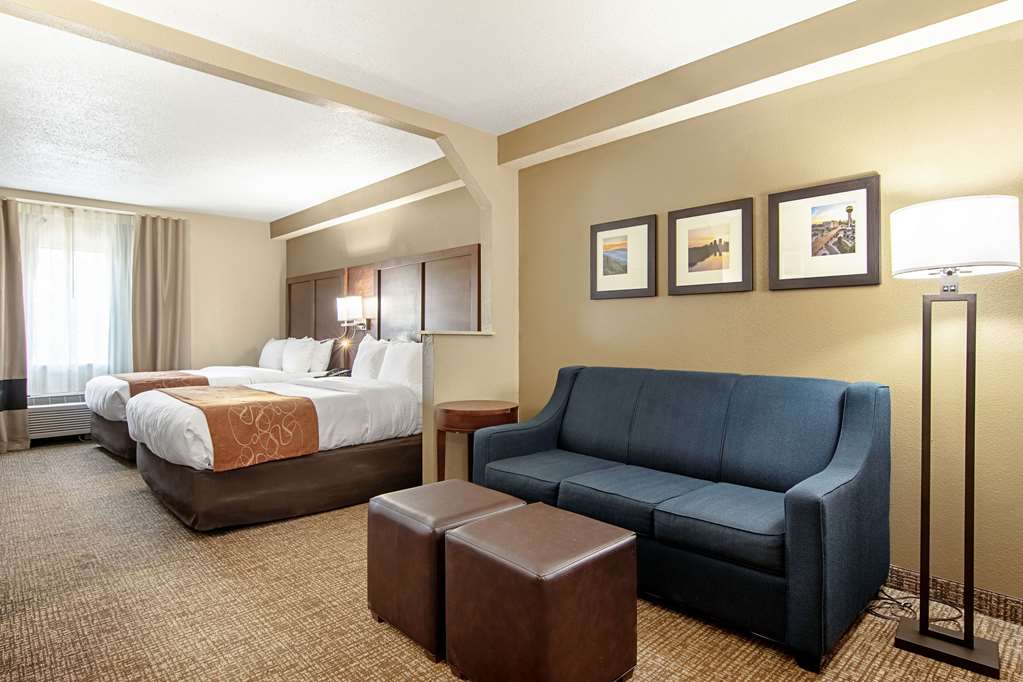 Comfort Suites Knoxville Airport - photo 24