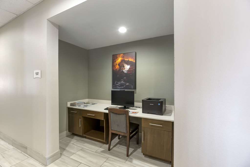 Quality Inn & Suites Carlsbad Caverns Area - photo 25