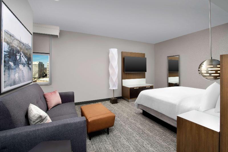 Embassy Suites by Hilton Knoxville Downtown - photo 78