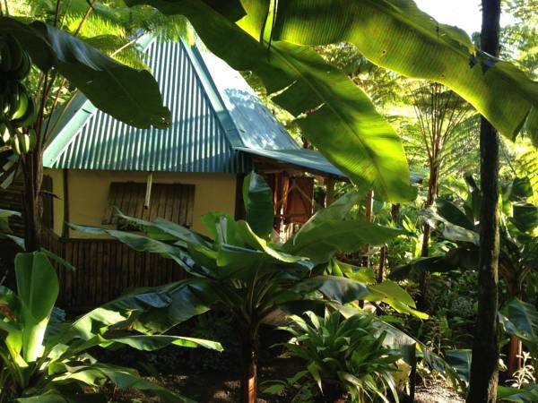 Roots Jungle Retreat in Marigot, Dominica
