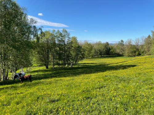 Torbjörntorp Betel — Falkoeping — photo 2