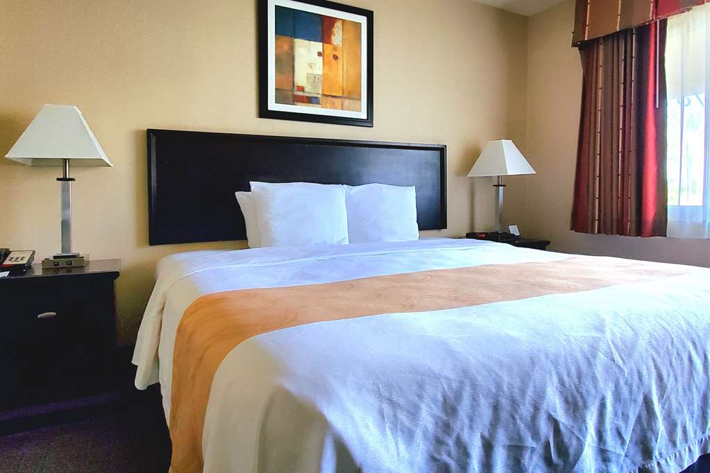 Quality Inn & Suites Anaheim At The Park - photo 17