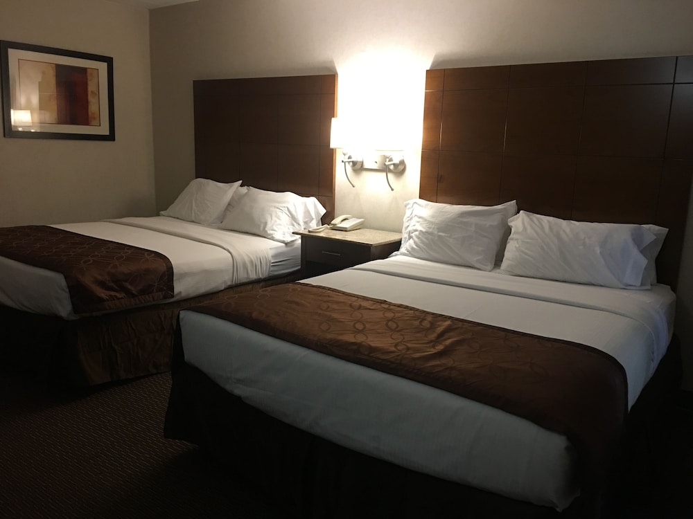 Ramada by Wyndham Rockville Centre - photo 11