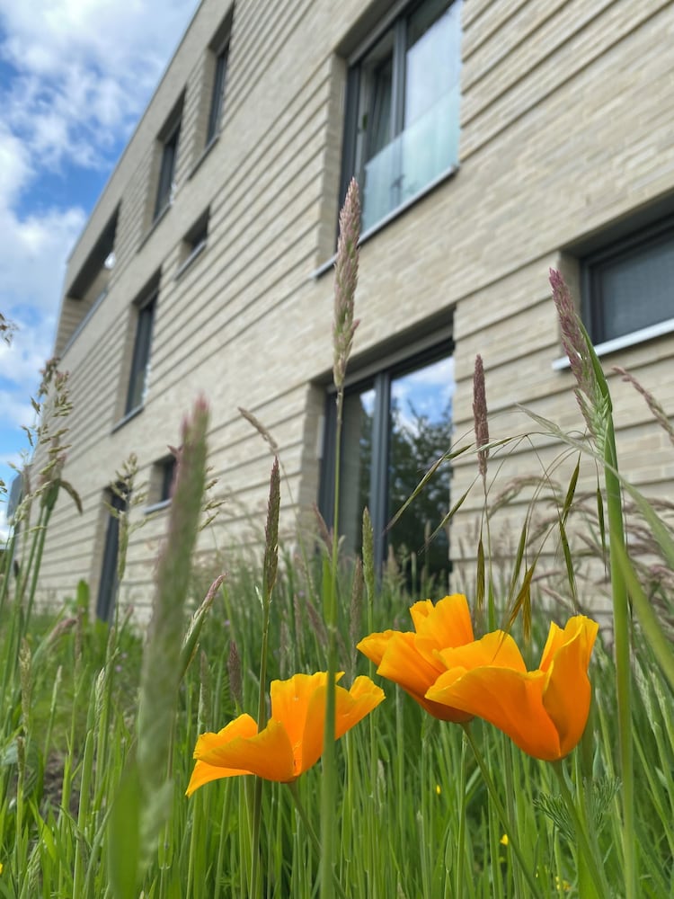 Haus Augustinus — 4-Star Luxury Hotel in Munster, Germany