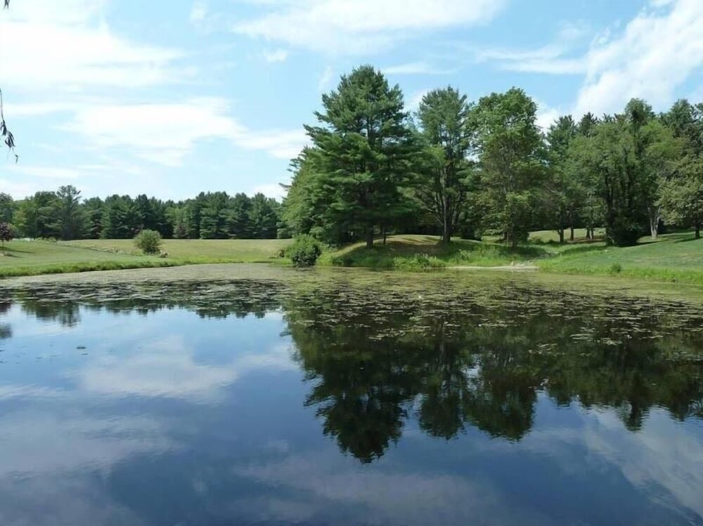 Baumann's Brookside Resort - photo 16