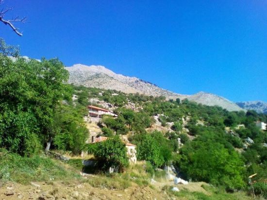 To Greki — Kalavryta — photo 5
