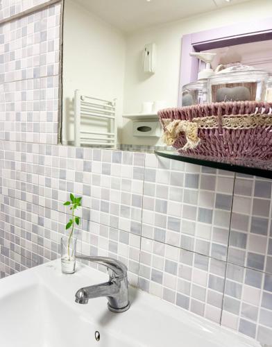 Holihome Le Rose — San Benedetto Del Tronto — photo 4