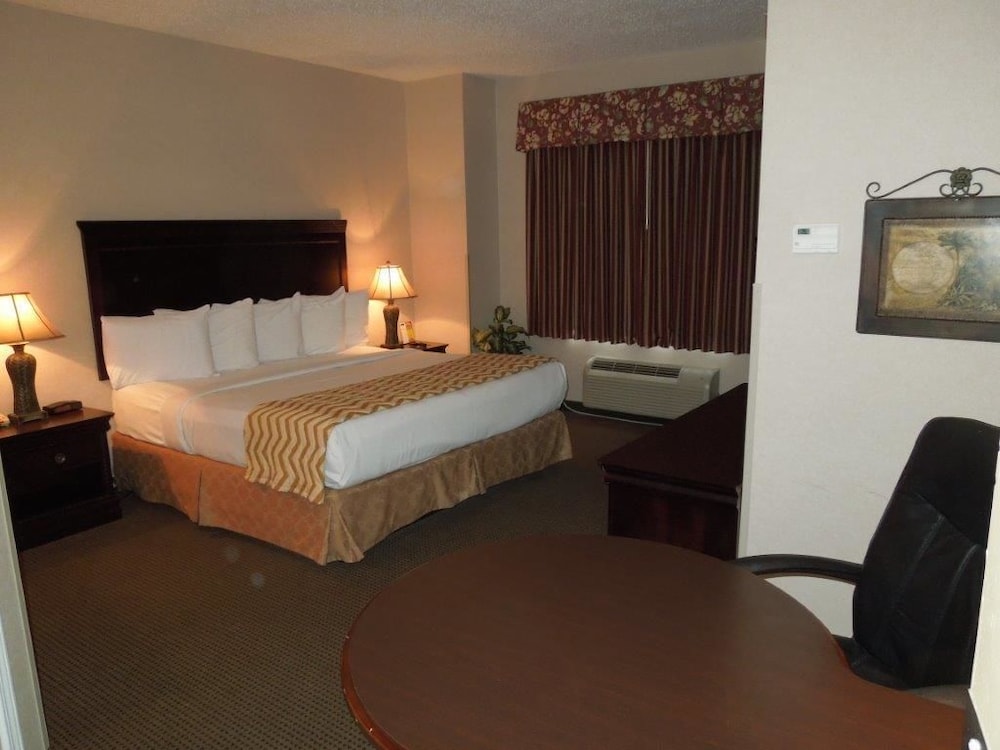 Super 8 By Wyndham Albany - photo 9