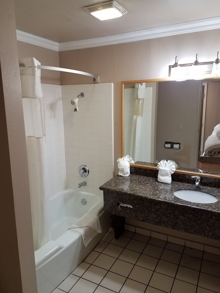 Olive Tree Inn & Suites by Howard Johnson WYNDHAM - photo 20