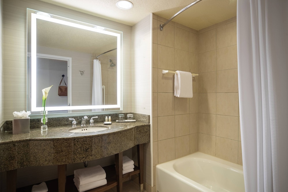 Renaissance Dallas Richardson Hotel - photo 26