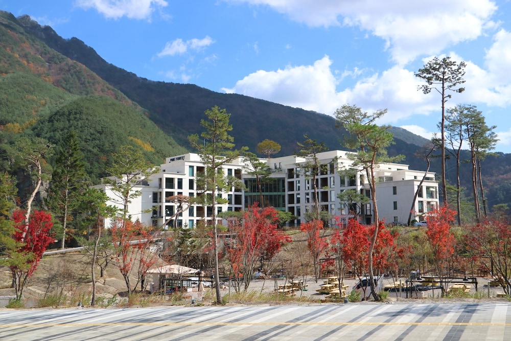 Pine Forest - carbon neutral hotel in Pyeongchang