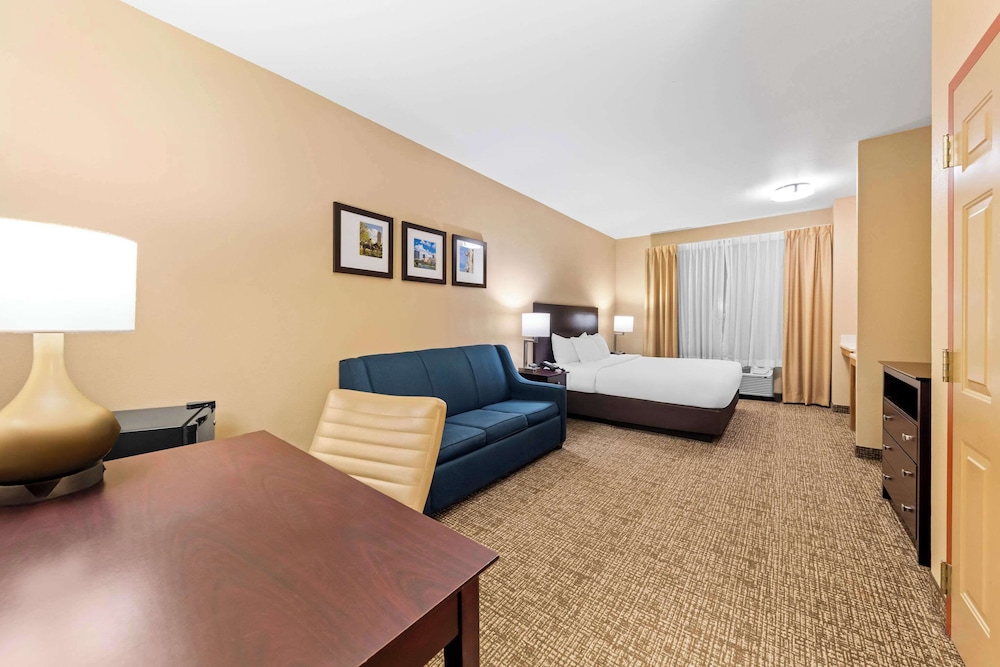 Comfort Suites Roanoke Fort Worth North - photo 15