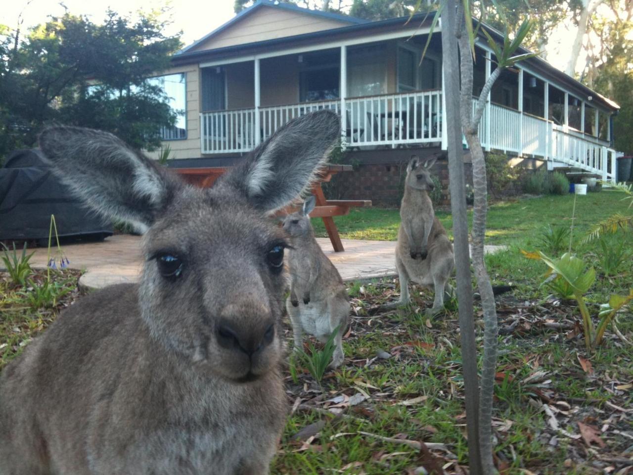 Bush & Bay Cottage — 4-Star Luxury Hotel in Vincentia, Australia