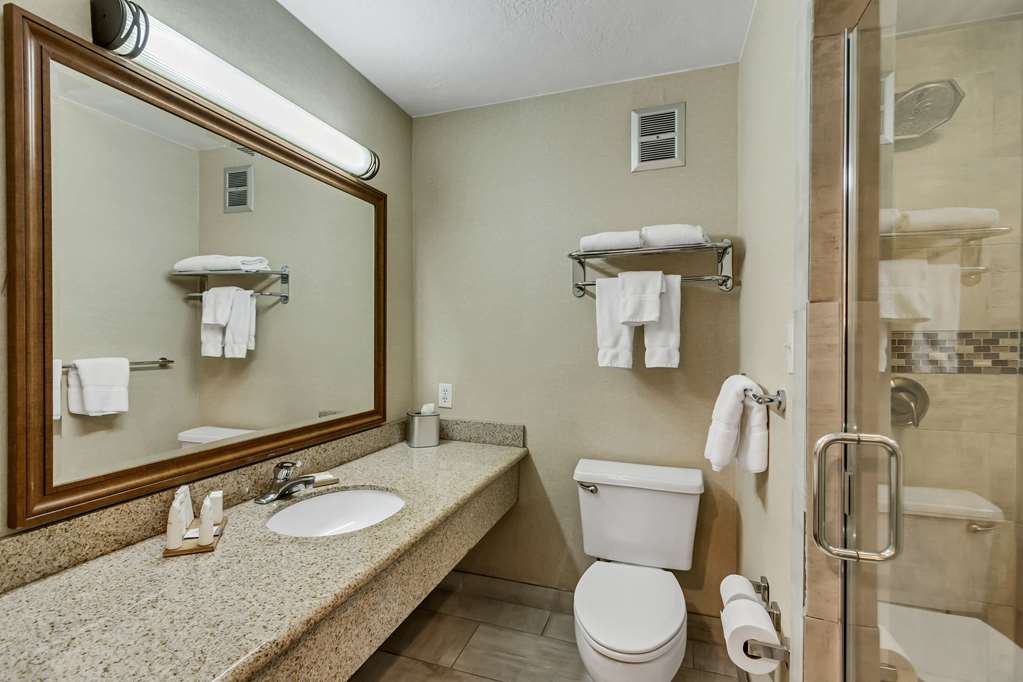 Radisson Hotel Salt Lake City Airport - photo 31